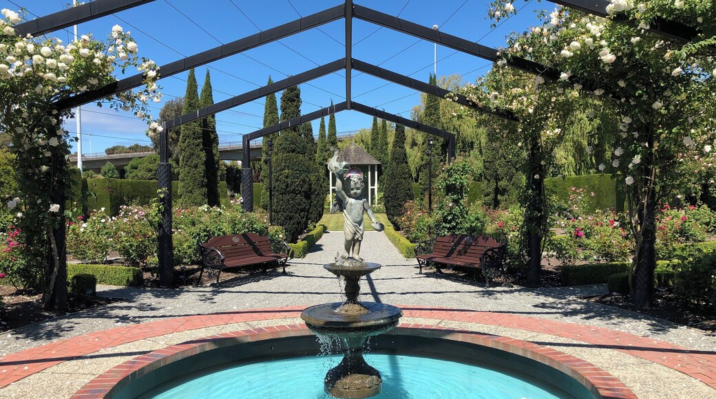 One of the many sights in New Zealand, this rose garden is found in Timaru, a small town in the south island of New zealand