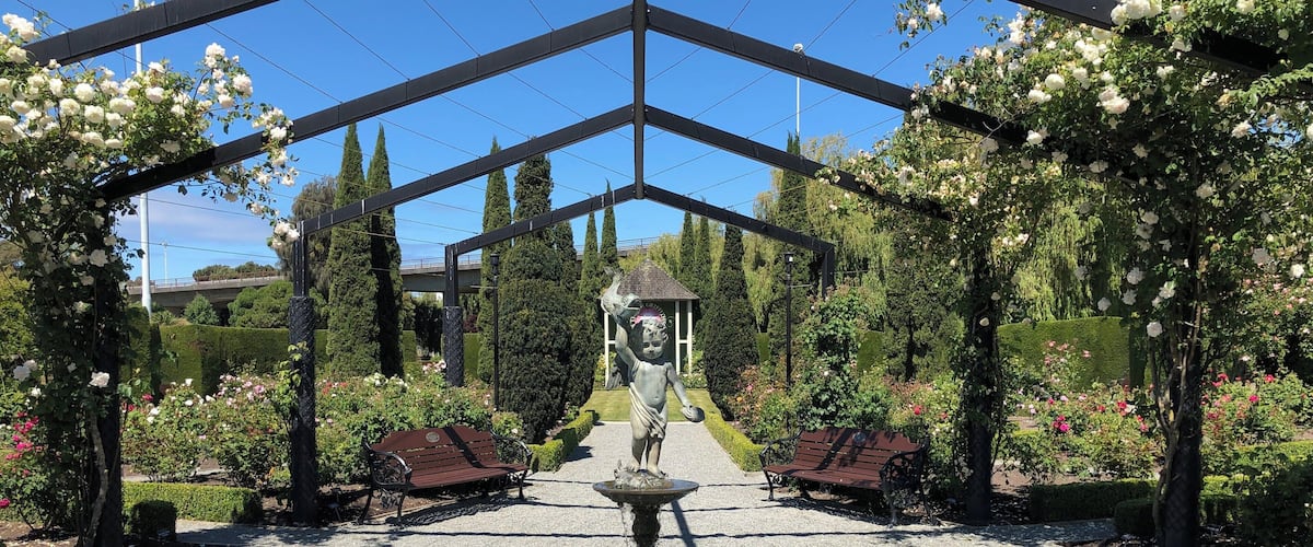 One of the many sights in New Zealand, this rose garden is found in Timaru, a small town in the south island of New zealand