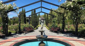 One of the many sights in New Zealand, this rose garden is found in Timaru, a small town in the south island of New zealand