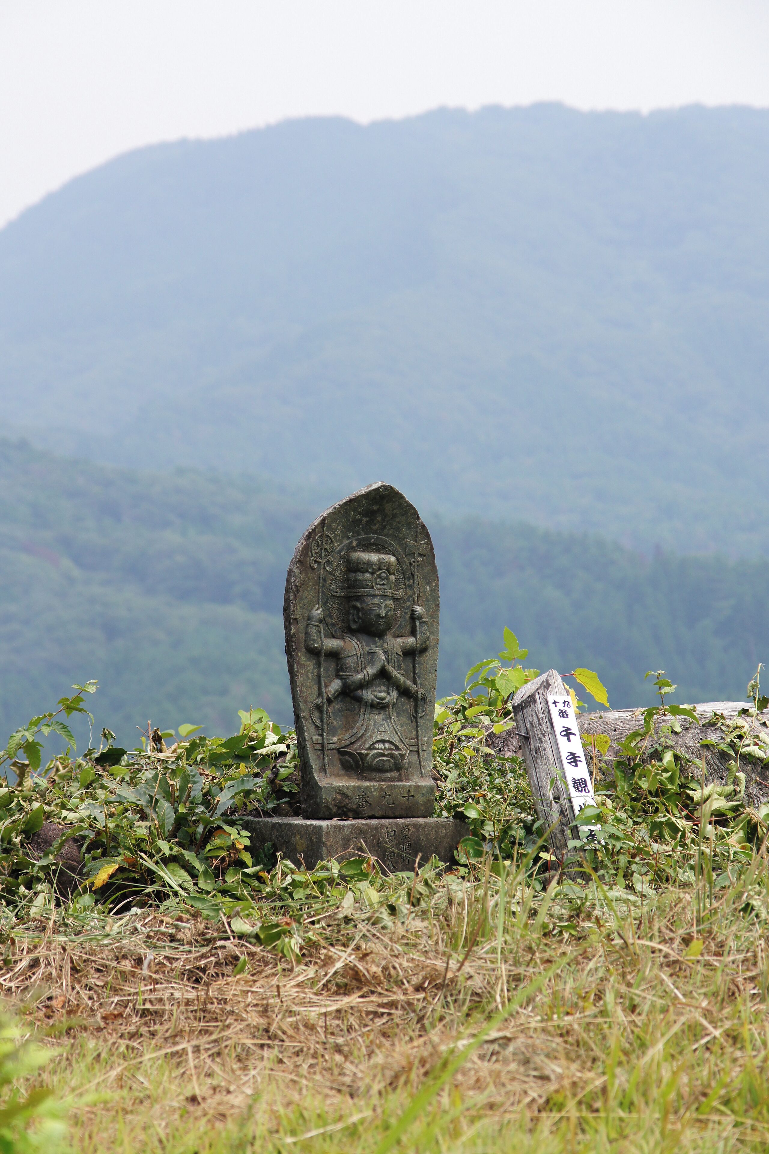 At Mount Kannabe in Kannabe highlands, Toyooka, Hyogo prefecture, Japan.