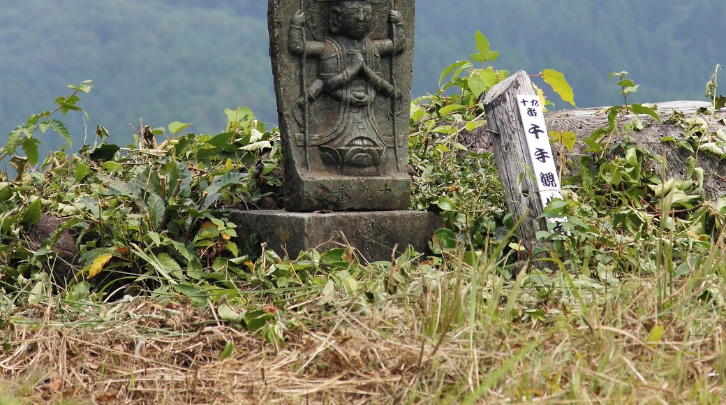 At Mount Kannabe in Kannabe highlands, Toyooka, Hyogo prefecture, Japan.