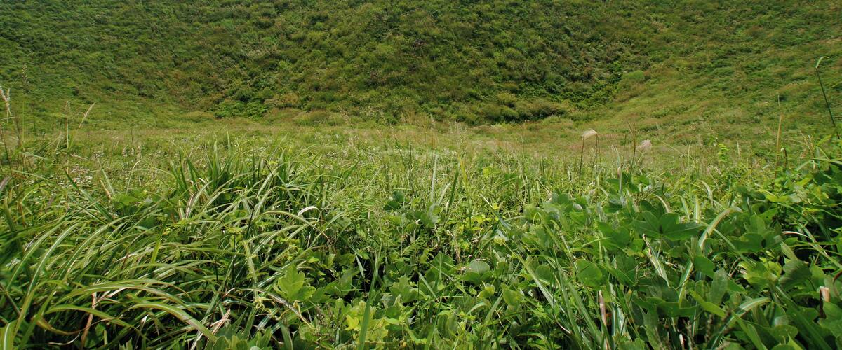 A grassy hill with a small structure in the distance.