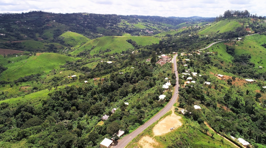 road in west cameroon mountains