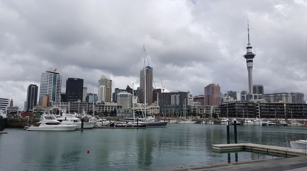 Auckland city