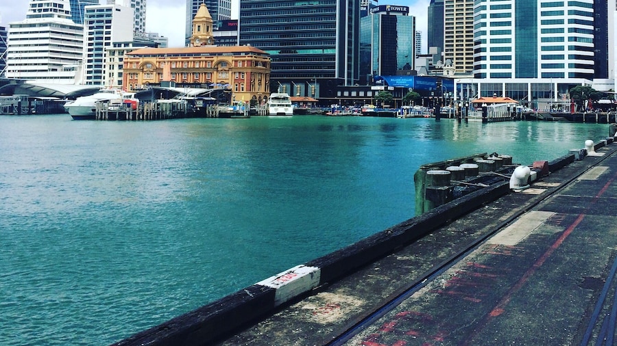 Auckland harbour - taken from outside the Hilton.