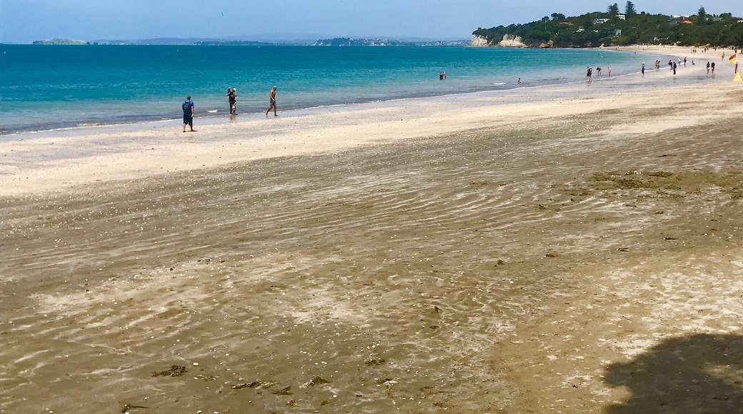 A stunning Beach in New Zealand 🇳🇿 👍🏻