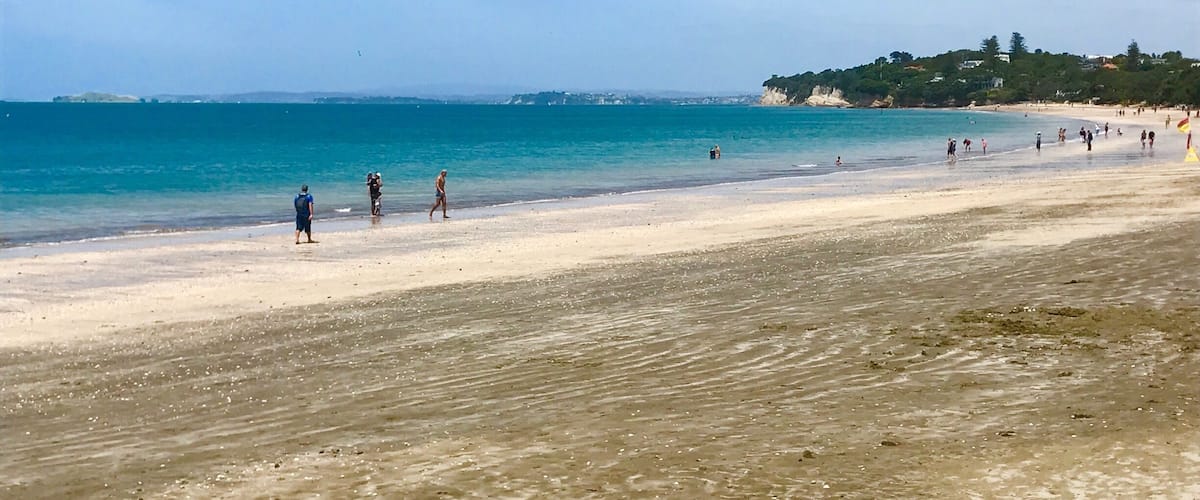 A stunning Beach in New Zealand 🇳🇿 👍🏻