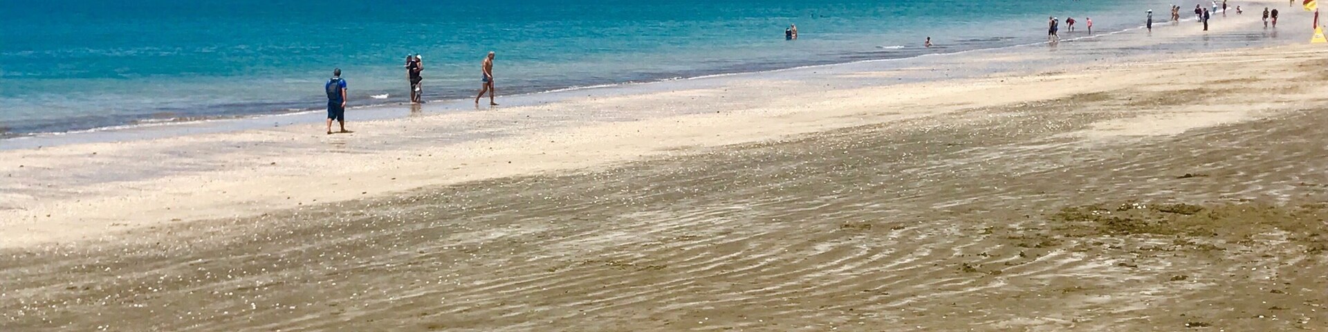 A stunning Beach in New Zealand 🇳🇿 👍🏻