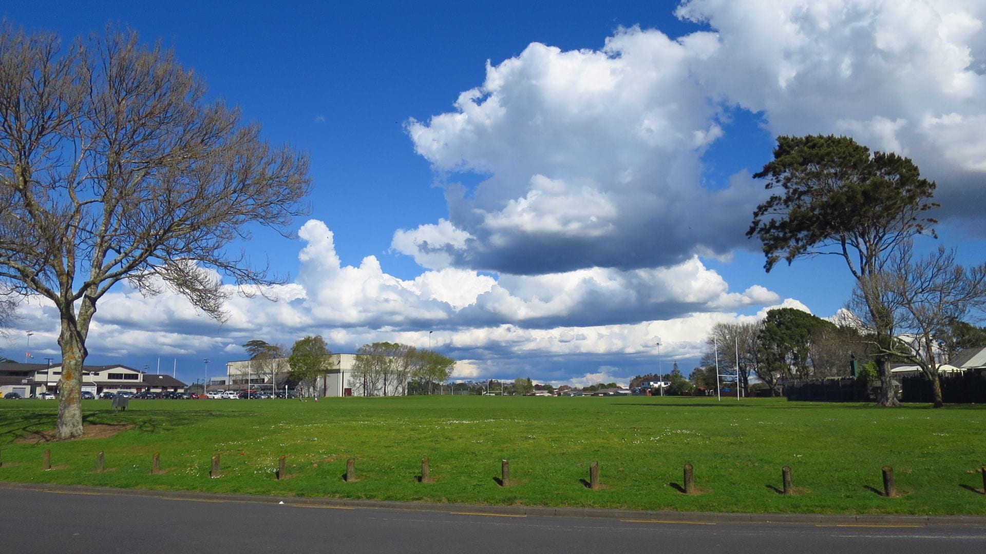 Relaxing in a wonderful spring day - Lloyd Elsmore Park Auckland NZ


#parks
