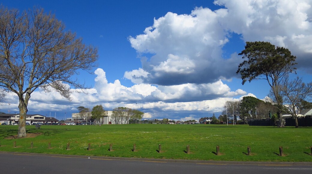 Relaxing in a wonderful spring day - Lloyd Elsmore Park Auckland NZ
#parks
