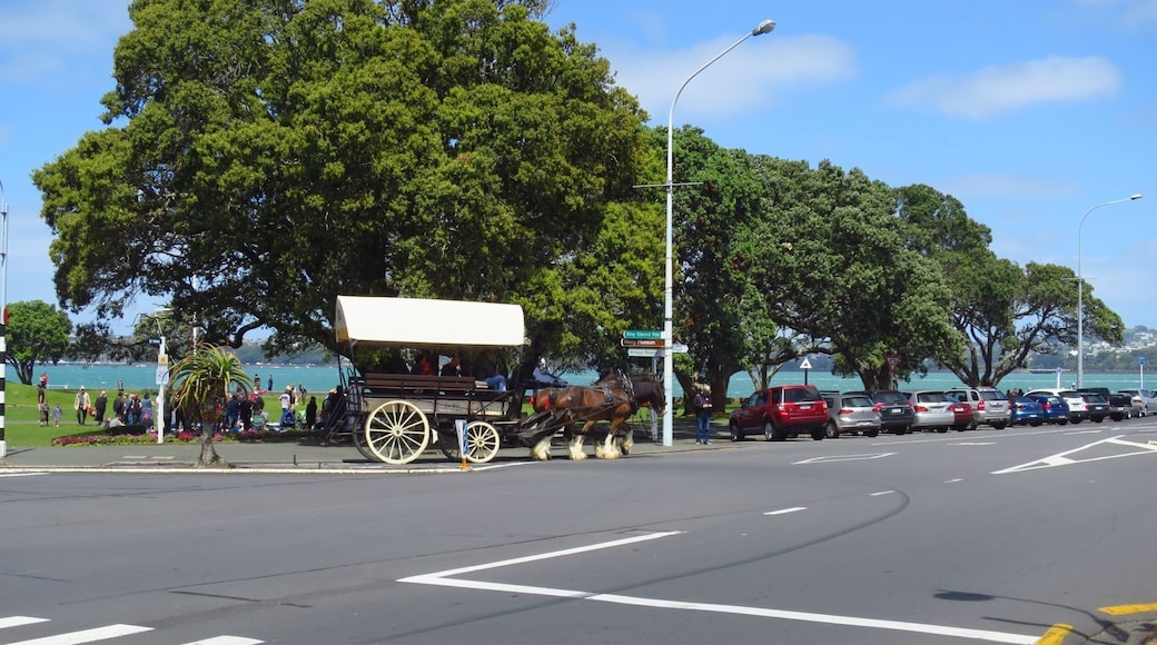 Devonport town centre is compact and easy to get around. One of the best heritage streetscapes in Auckland, the village offers a truly unique boutique shopping experience.