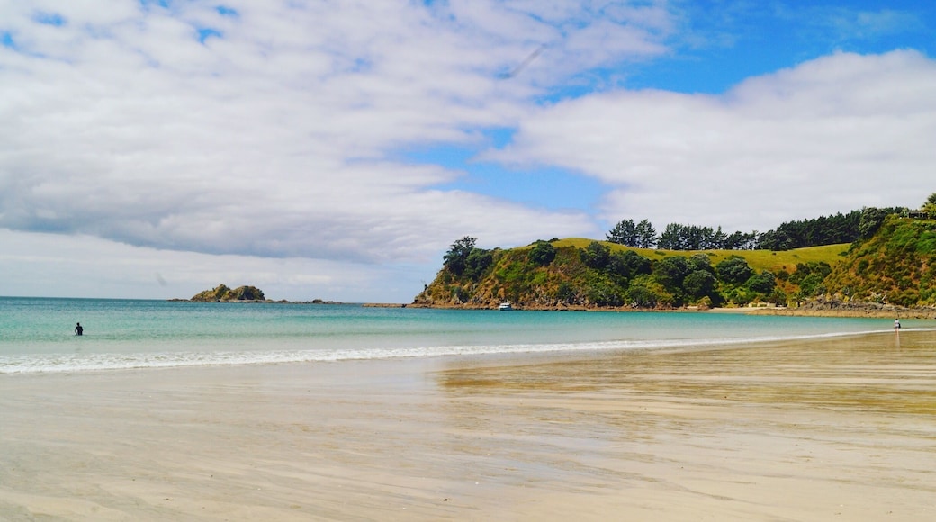 Palm Beach on Waiheke Island is the place where you should be during the hot summer days! Look at that color of the sea! Beautiful!