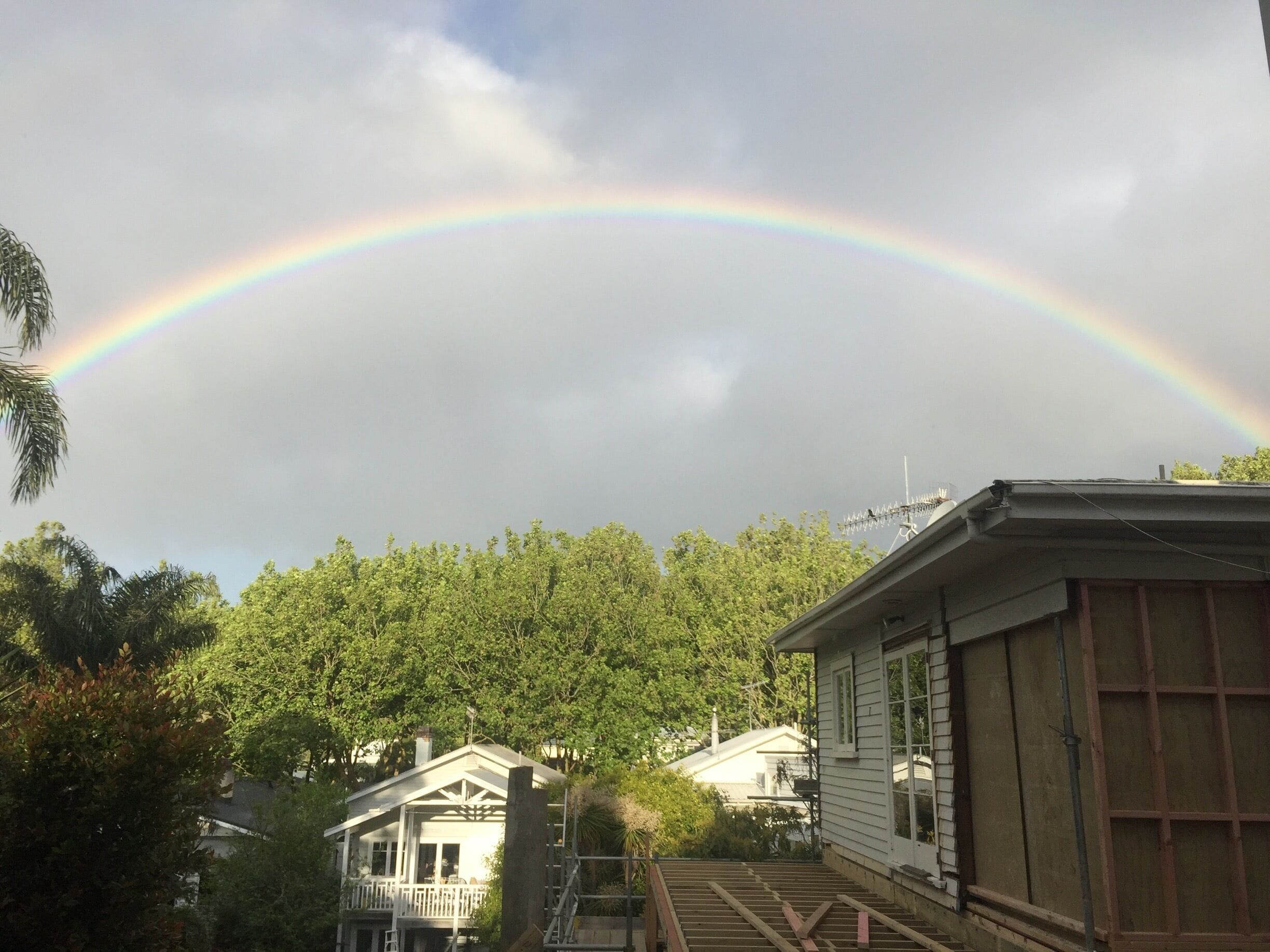 Auckland rainbow