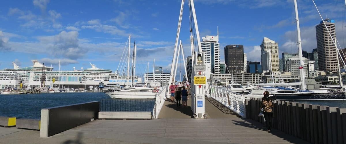 Walking over the Viaduct Harbour Bridge
#UrbanJungle