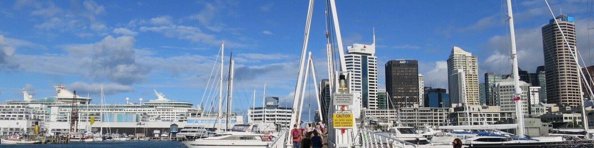 Walking over the Viaduct Harbour Bridge
#UrbanJungle