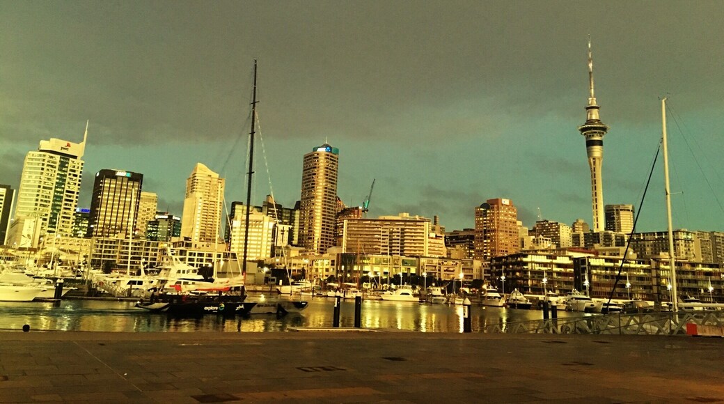 Auckland skyline evening view