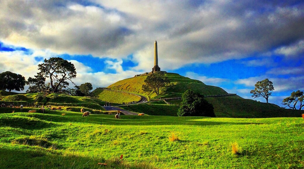 Bueatiful day on One Tree Hill :) A lot of farm animals are wandering around and making this place even more beautiful...