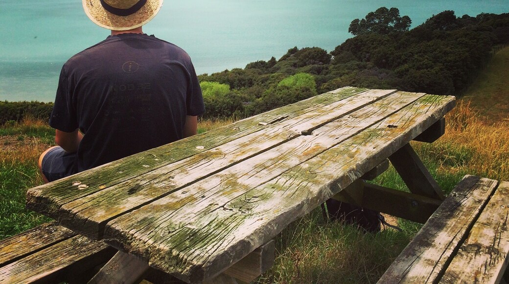 We went on a great day trip to Duder regional park . The views, nature and colors are stunning. This is definitely one more beautiful place to go to again
#blue #TakeAHike