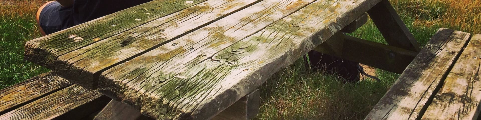 We went on a great day trip to Duder regional park . The views, nature and colors are stunning. This is definitely one more beautiful place to go to again
#blue #TakeAHike