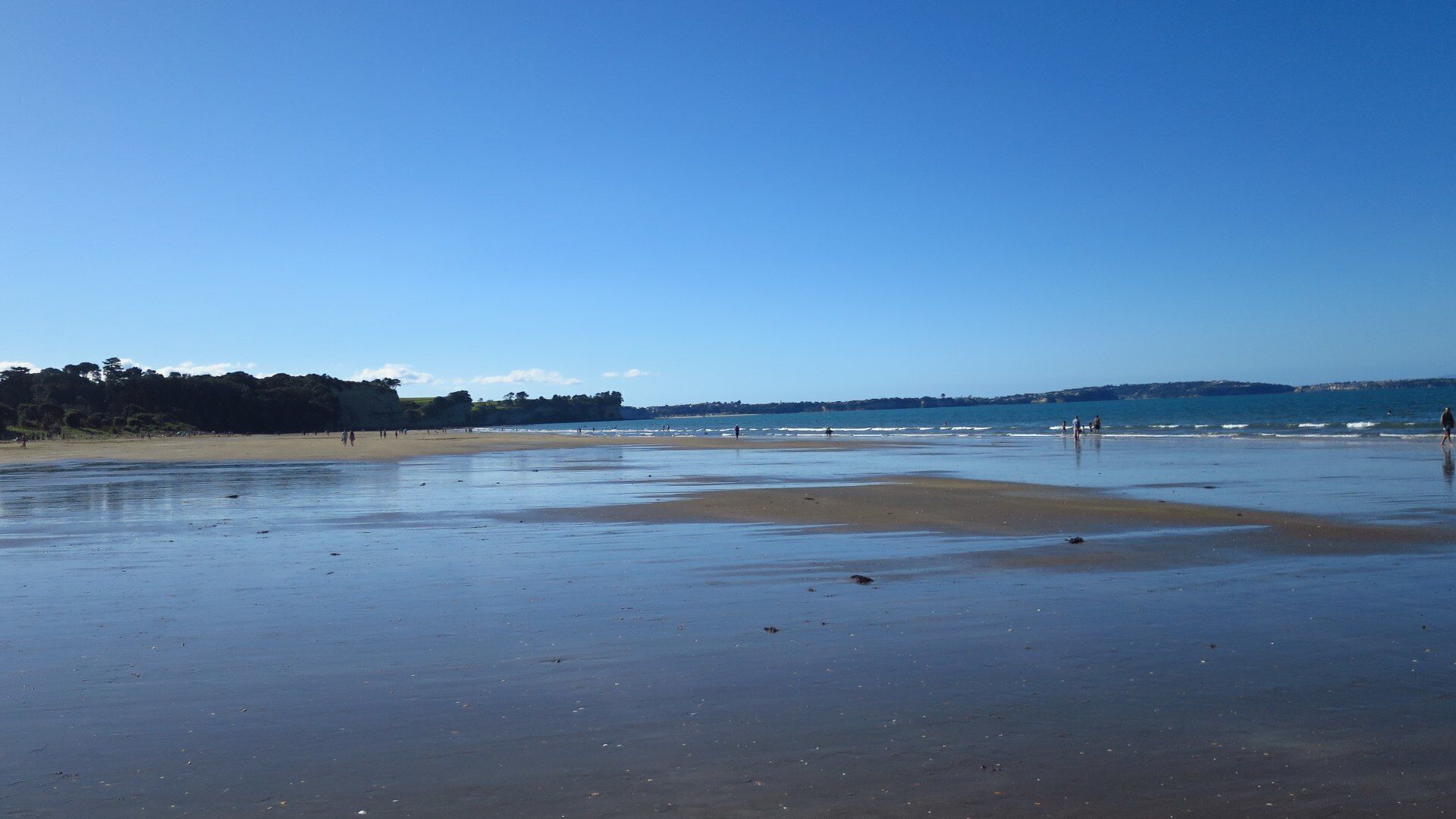Long Bay Beach - The coastline is occupied by the Long Bay Regional Park, and the shoreline is in Long Bay-Okura Marine Reserve, which opened in 1995. The beach is sandy and swimming is safe. It offers forest walks and scenic cliffs. This beach has low tide water. Smaller beaches to the north, accessible except at high tide, are used by nudists.

#Blue

#BeachBound