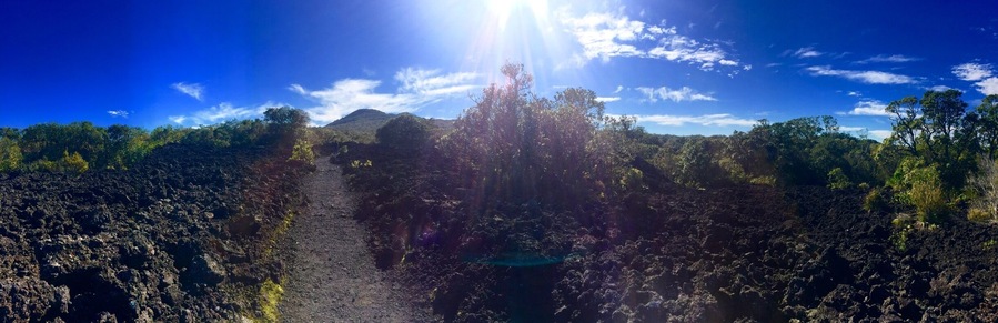 Hiking the volcano in Rangitoto