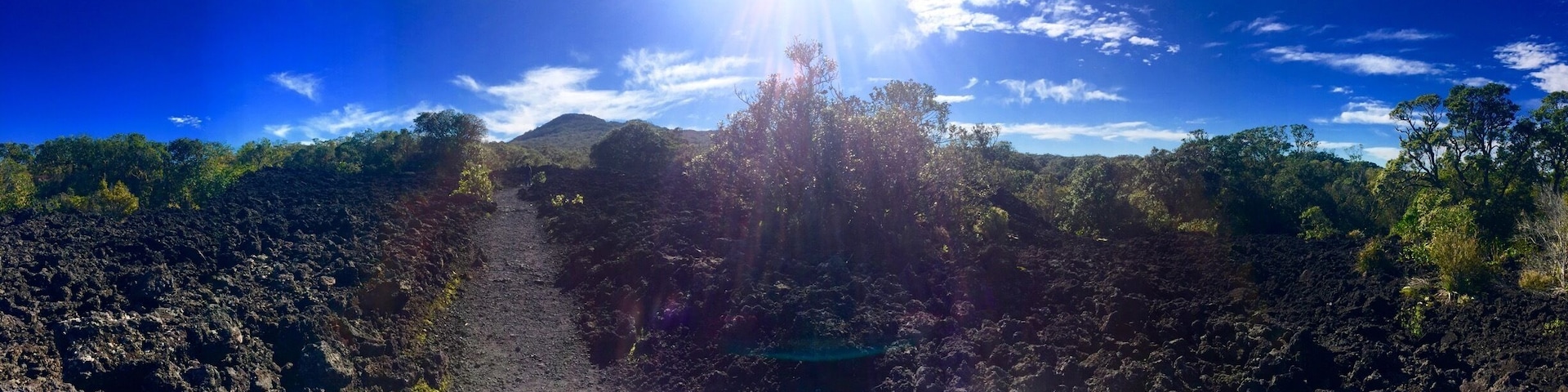 Hiking the volcano in Rangitoto