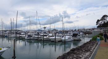 Romantic place HalfMoon Bay for pedestrians in Auckland NZ
