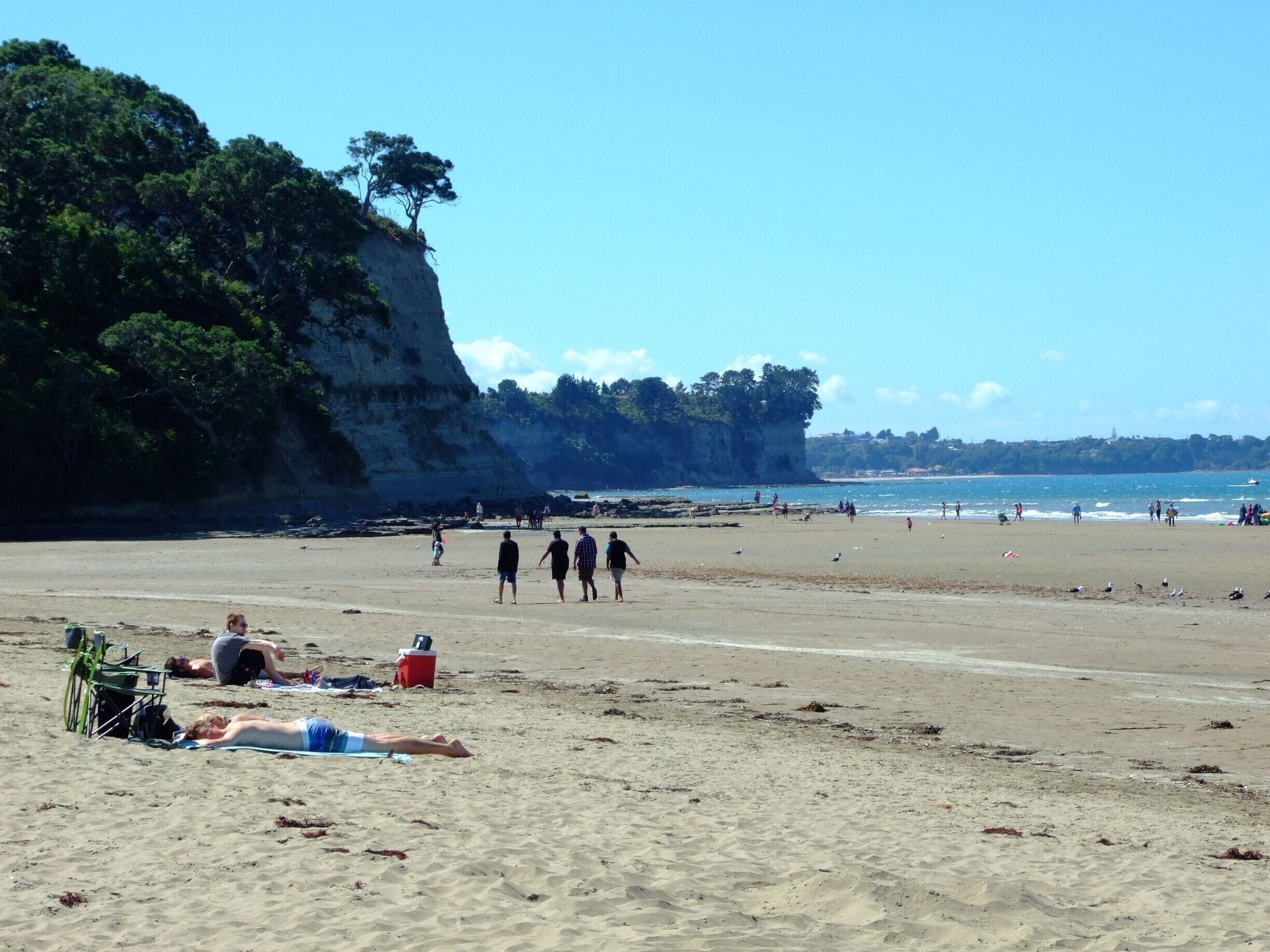 Long Bay certainly lives up to its name. This seaside reserve includes a kilometre-long sandy beach that gentle slopes down to the waters of a coastal marine reserve.
