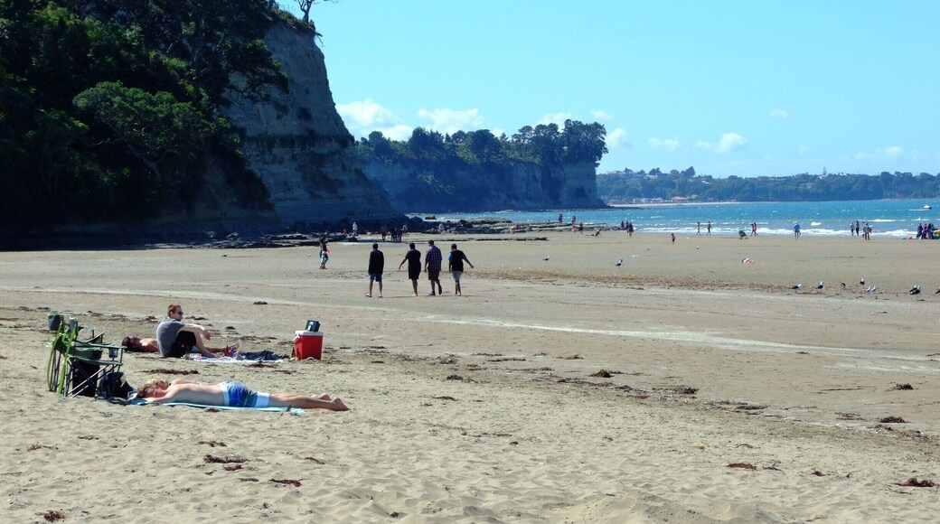 Long Bay certainly lives up to its name. This seaside reserve includes a kilometre-long sandy beach that gentle slopes down to the waters of a coastal marine reserve.