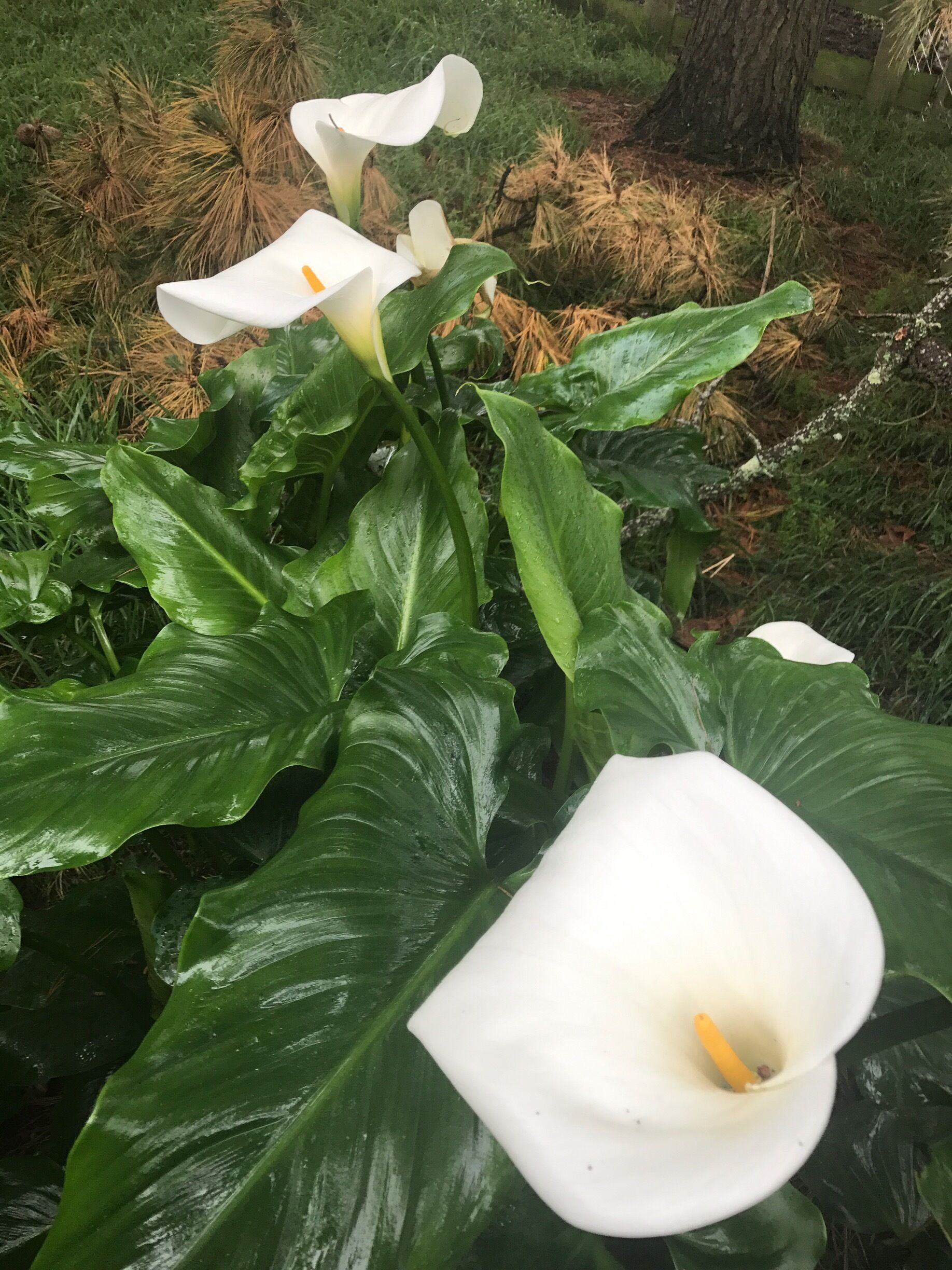 Just thinking of a friend 💕