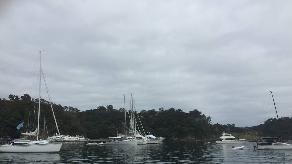 Woke up to this!
A few ships in the night