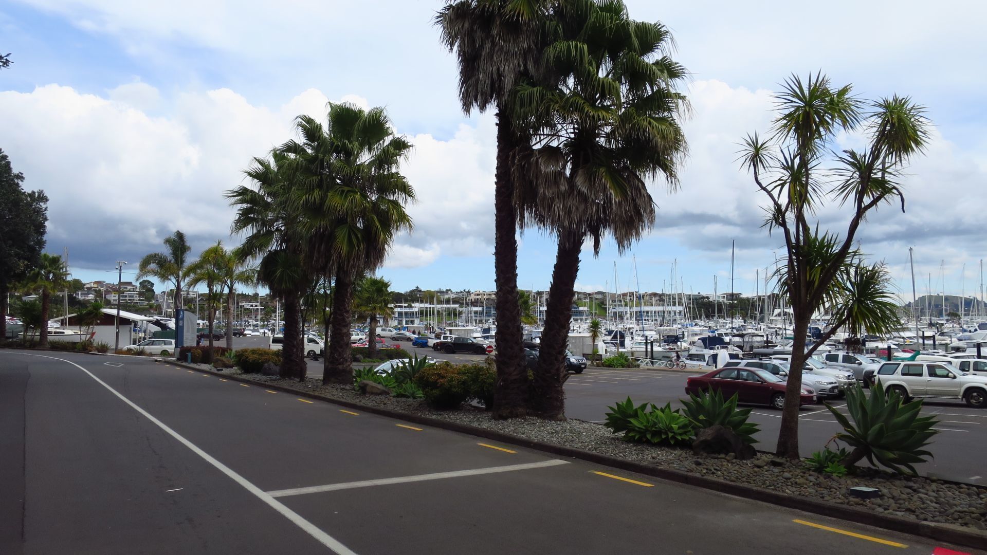 One of the beautiful places for tourists and Aucklanders near the Pacific Ocean - HalfMoon Bay