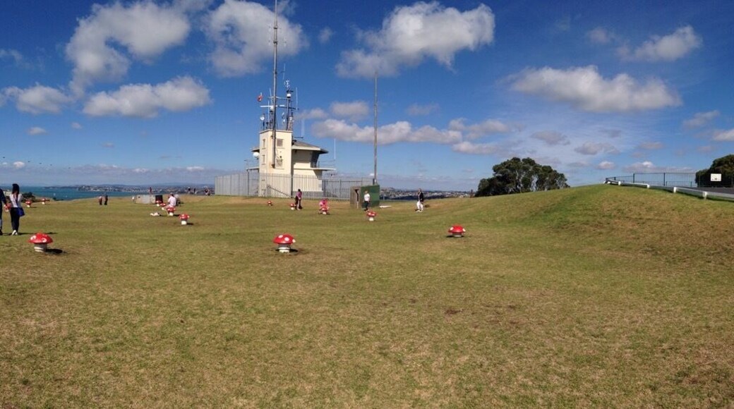 The view from the top was amazing! 👌