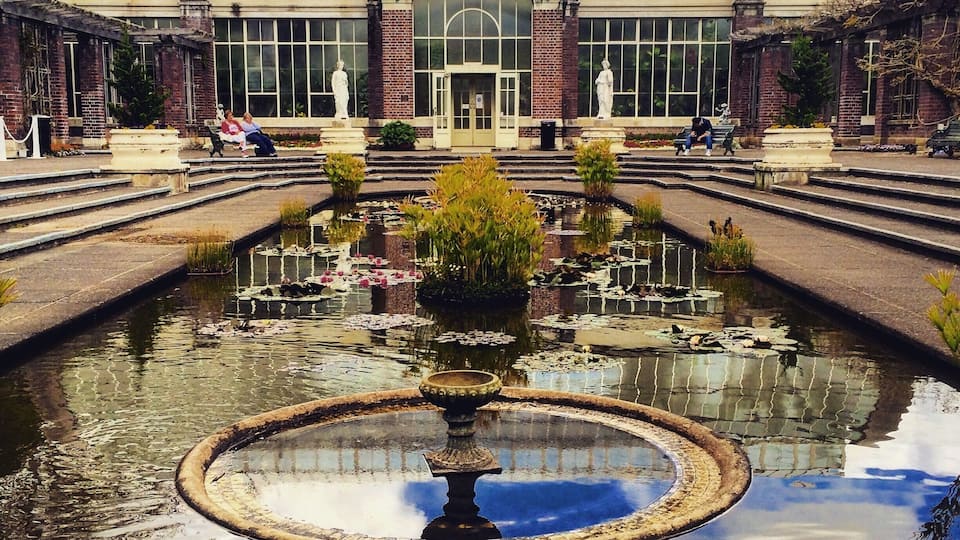 Auckland wintergarden is a place full of colors all year around. Stop for a while in its peaceful courtyard and just enjoy the atmosphere...
