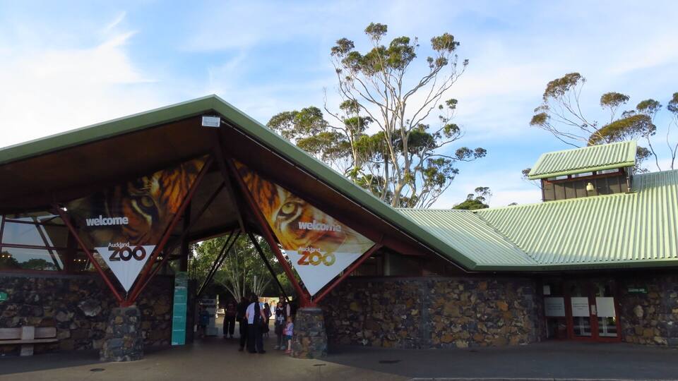 Visiting the Auckland Zoo is a good recommendation for all - adults and kids.
Home to 138 different species and over 875 animals, Auckland Zoo has the largest collection of native and exotic animals in New Zealand.