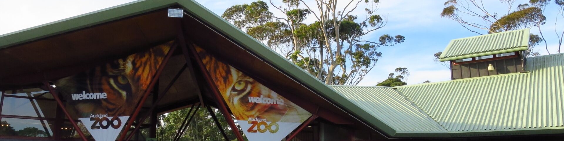 Visiting the Auckland Zoo is a good recommendation for all - adults and kids.
Home to 138 different species and over 875 animals, Auckland Zoo has the largest collection of native and exotic animals in New Zealand.