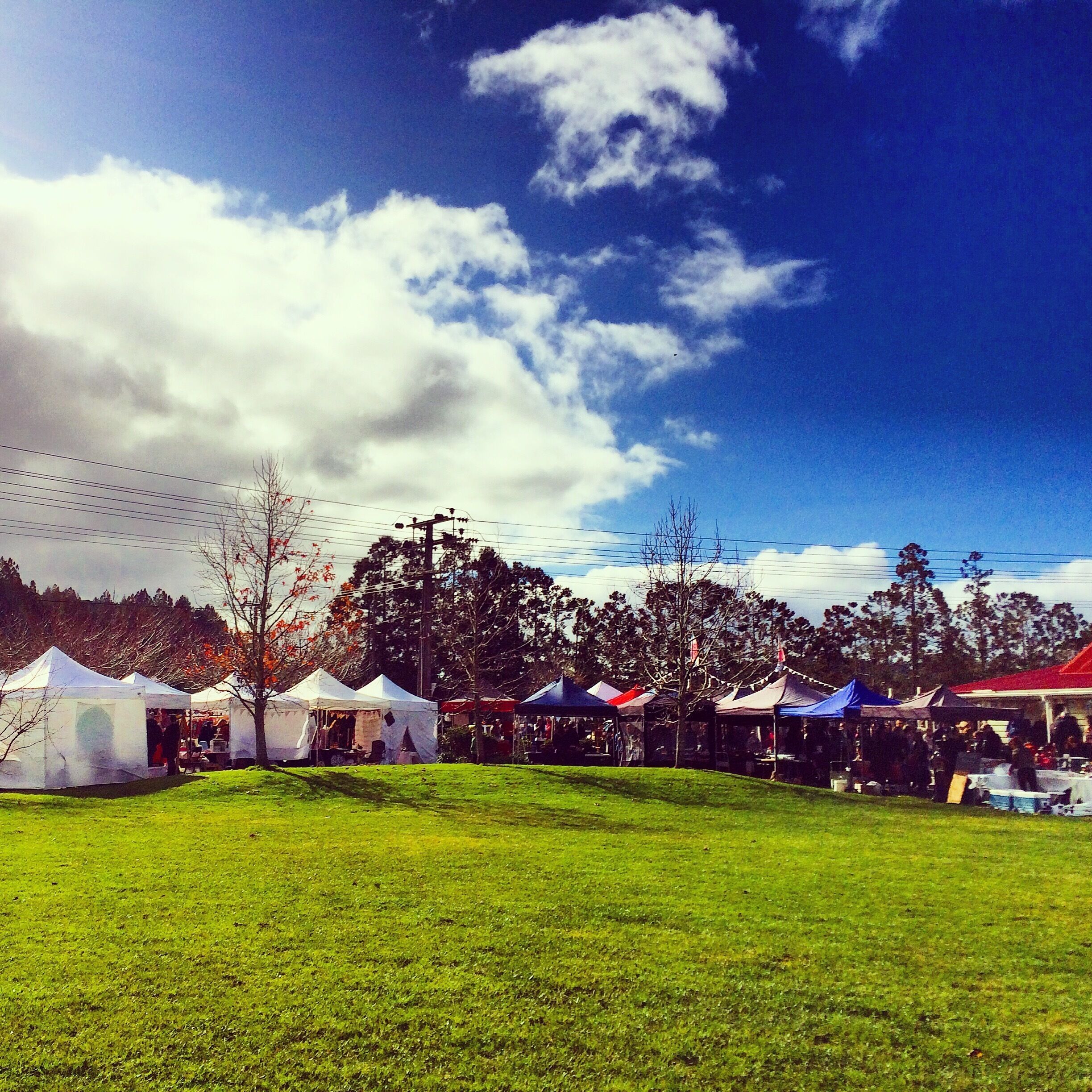 A grassy field with several tents and a clear blue sky.