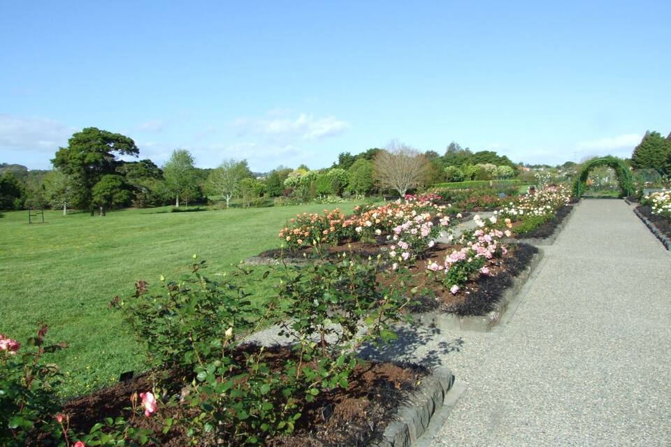 A garden with a gravel path, rows of roses, and a grassy field.