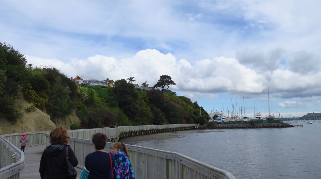 Continuing our walk along the Pacific Ocean near Bucklands Beach Auckland