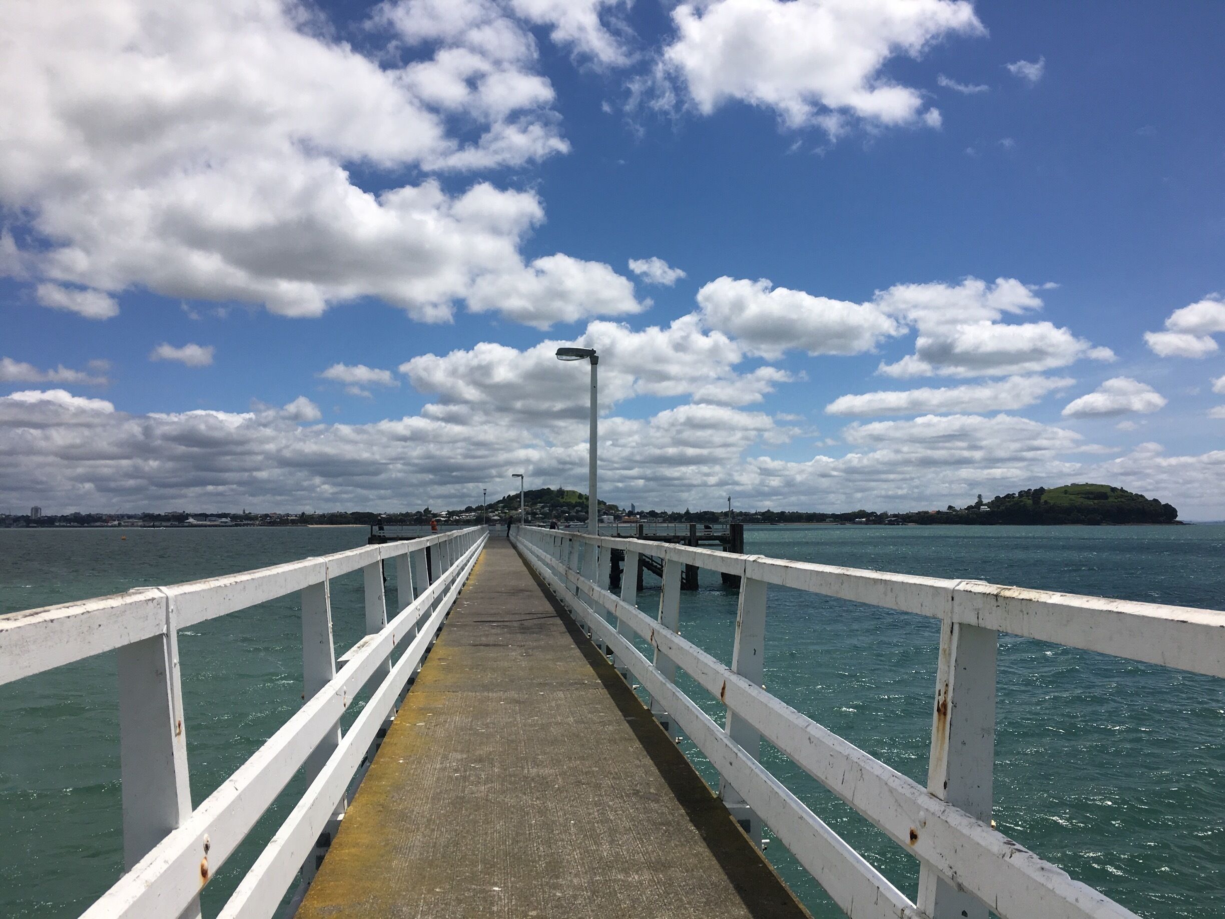 Views over the bay in Auckland
