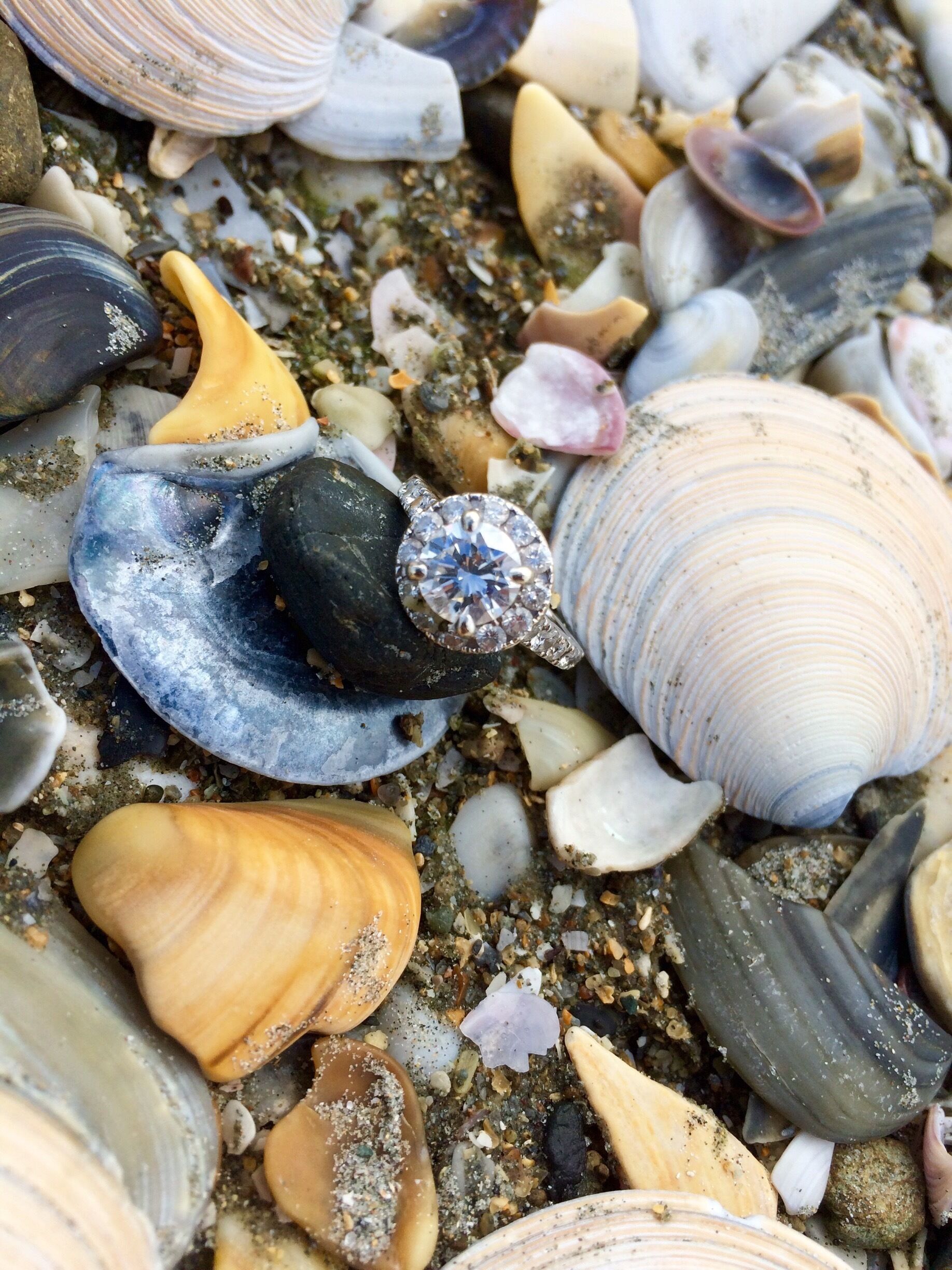 This is a female American Redstart that I saw at Snyder Park just north of the airrport.

#birds #wildlife #Florida