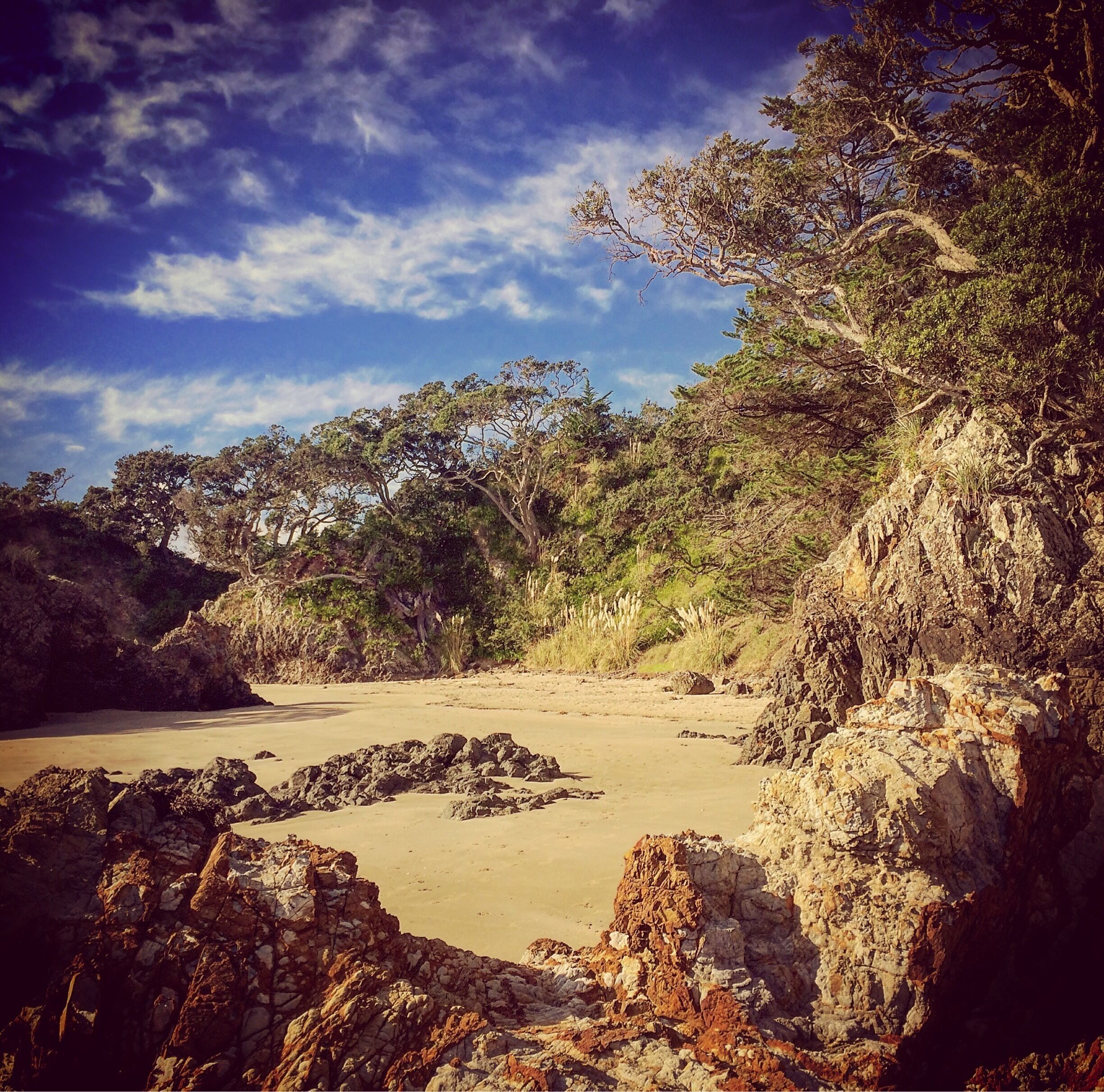 Worth the trip out of Auckland to get to Waiheke Island. #newzealand #waiheke #waihekeisland #oneroa #oneroabeach