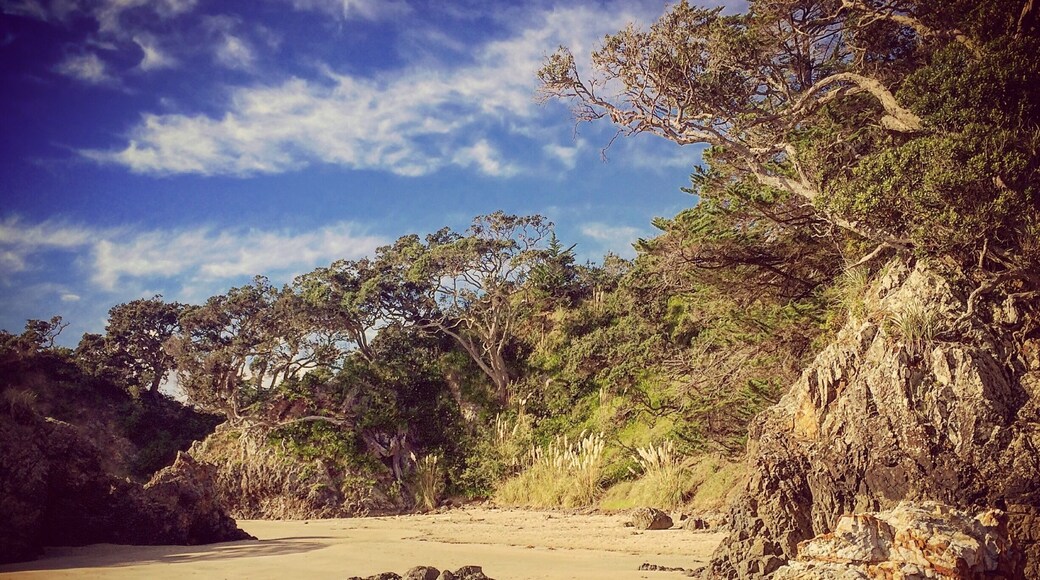 Worth the trip out of Auckland to get to Waiheke Island. #newzealand #waiheke #waihekeisland #oneroa #oneroabeach