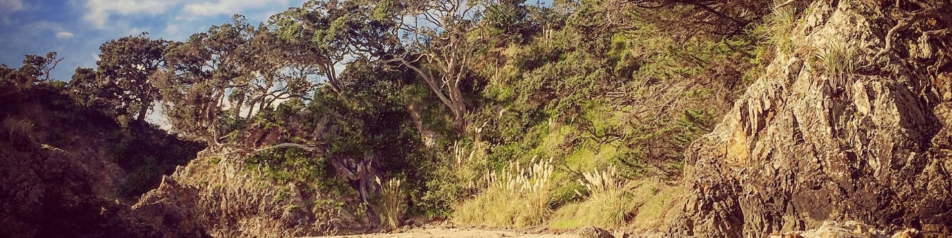Worth the trip out of Auckland to get to Waiheke Island. #newzealand #waiheke #waihekeisland #oneroa #oneroabeach