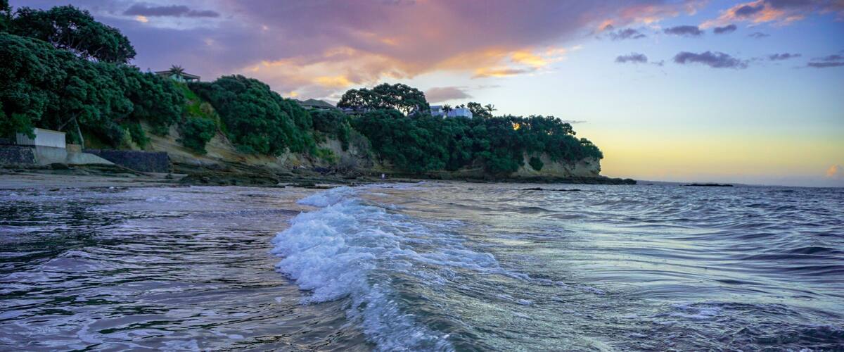 Narrow neck beach auckland