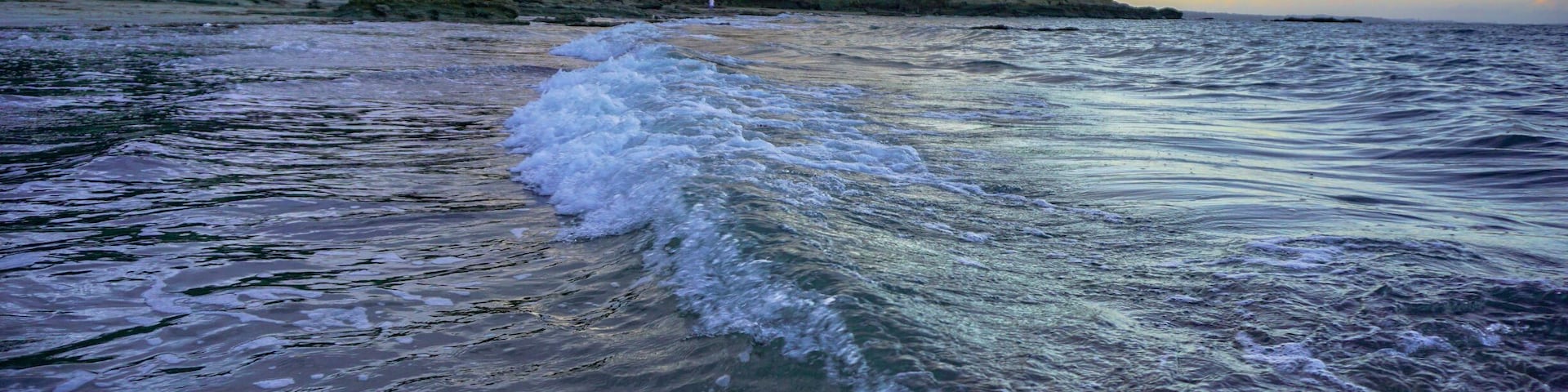 Narrow neck beach auckland