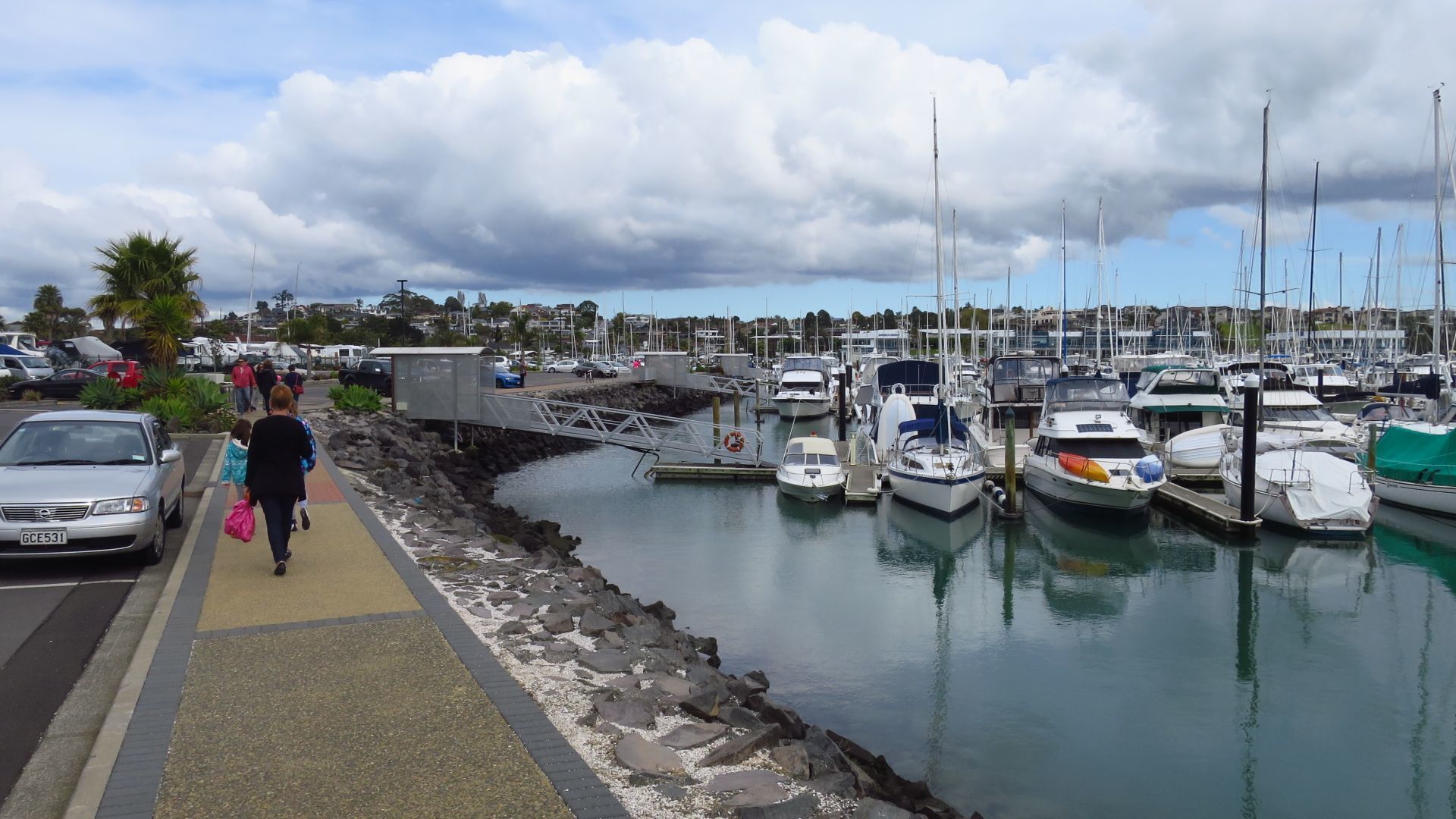 Beauties of Auckland NZ at HalfMoon Bay