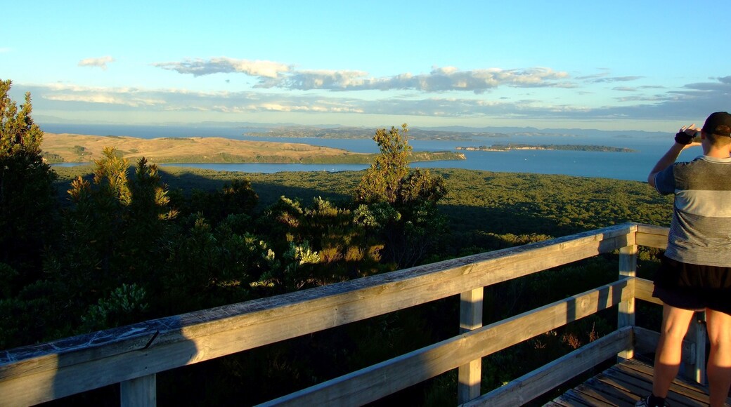 A beautiful view from the top of Rangitoto Island after a 30 minutes climb through various landscapes (fields of volcanic rocks, a cave and bushes).
Rangitoto Island is a volcanic island in the Hauraki Gulf near Auckland, New Zealand. The 5.5 km wide island is an iconic and widely visible landmark of Auckland with its distinctive symmetrical shield volcano cone rising 260 metres (850 ft) high over the Hauraki Gulf.
There are several daily ferries to the island from Auckland's main ferry terminal. These allow day trips for the fit to walk to the summit and back, with stunning views of the harbour and city. An alternative to walking, a land train, co-ordinated with the ferry sailings, takes visitors to a short way below the summit.
Sea kayak trips from the mainland to the island are also available.
#AboveItAll