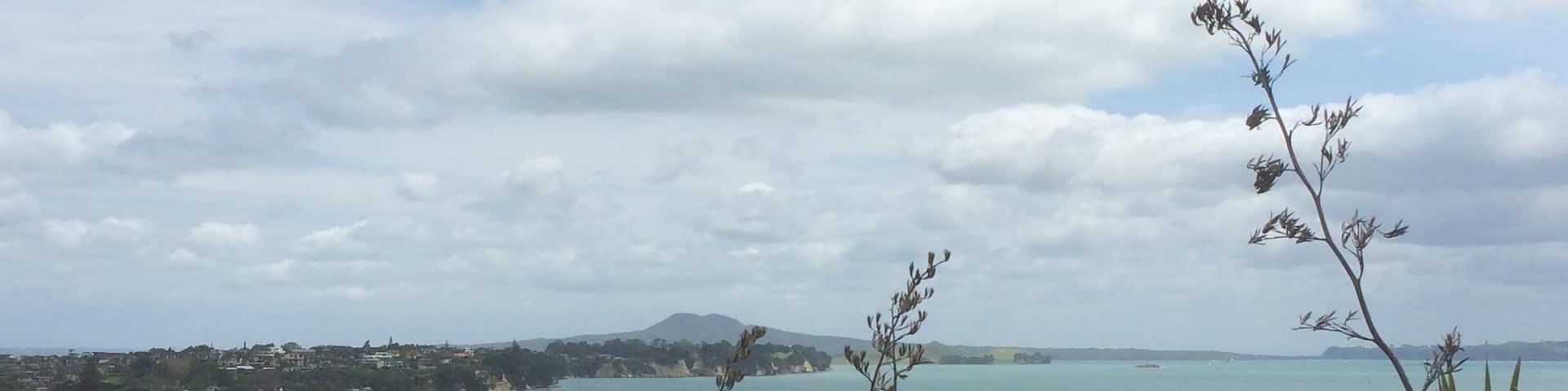 View over Bucklands beach esplanade. Magical view