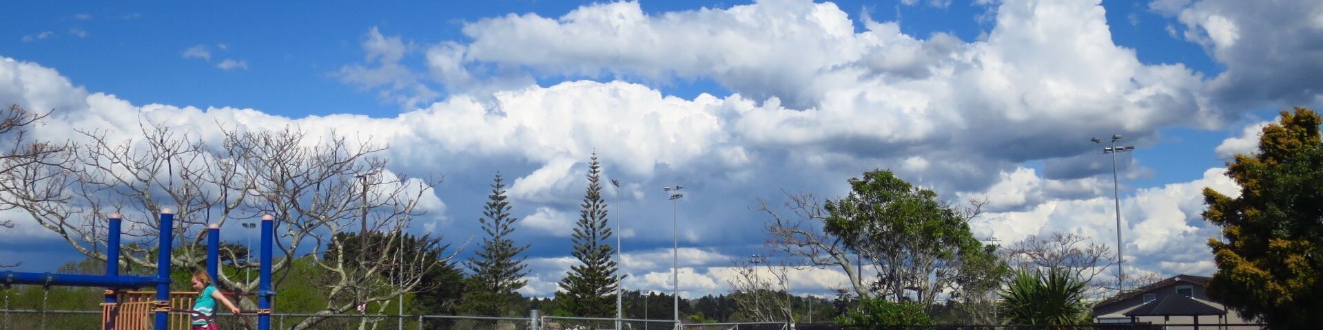 Wonderful nature in Lloyd Elsmore Park for families